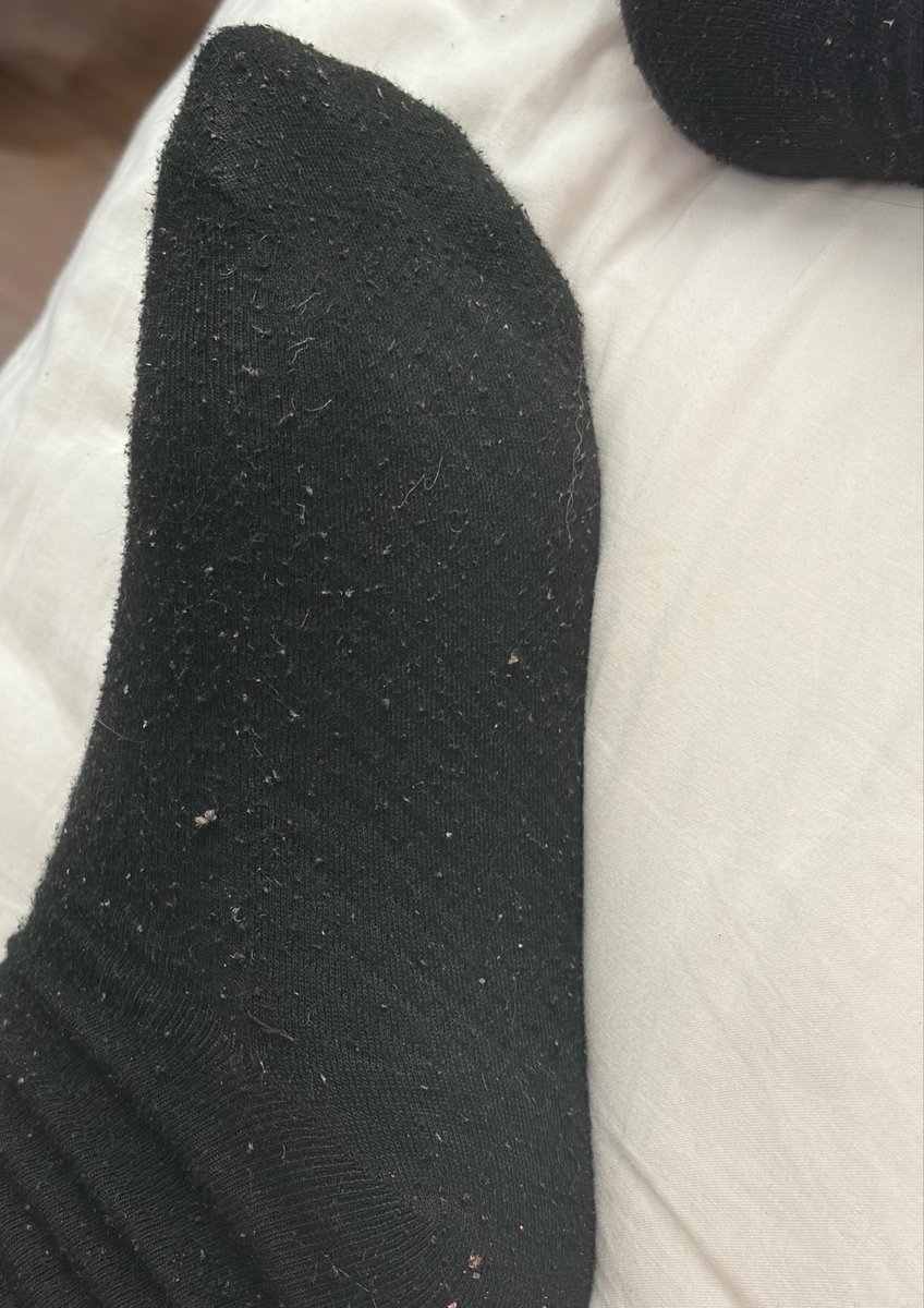 KarolinaFindom's tweet photo. Otwieraj pyszczek 🐶
Brudne skarpetki już niedługo będą u mojego podnóżka, możesz być następny 🖕

findom soles stopy dojenie blik https://t.co/EkJeIQkrZB
