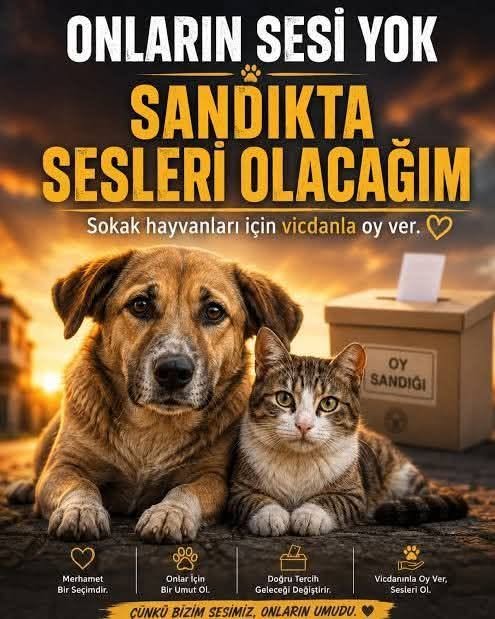 semakorcan's tweet photo. Onların oy verme hakkı yok 📷Yaşam hakları var..Bugün onlara sırt çeviren hiçbir siyasi parti beni de temsil etmiyor.📷 https://t.co/4OwI2aHxIU