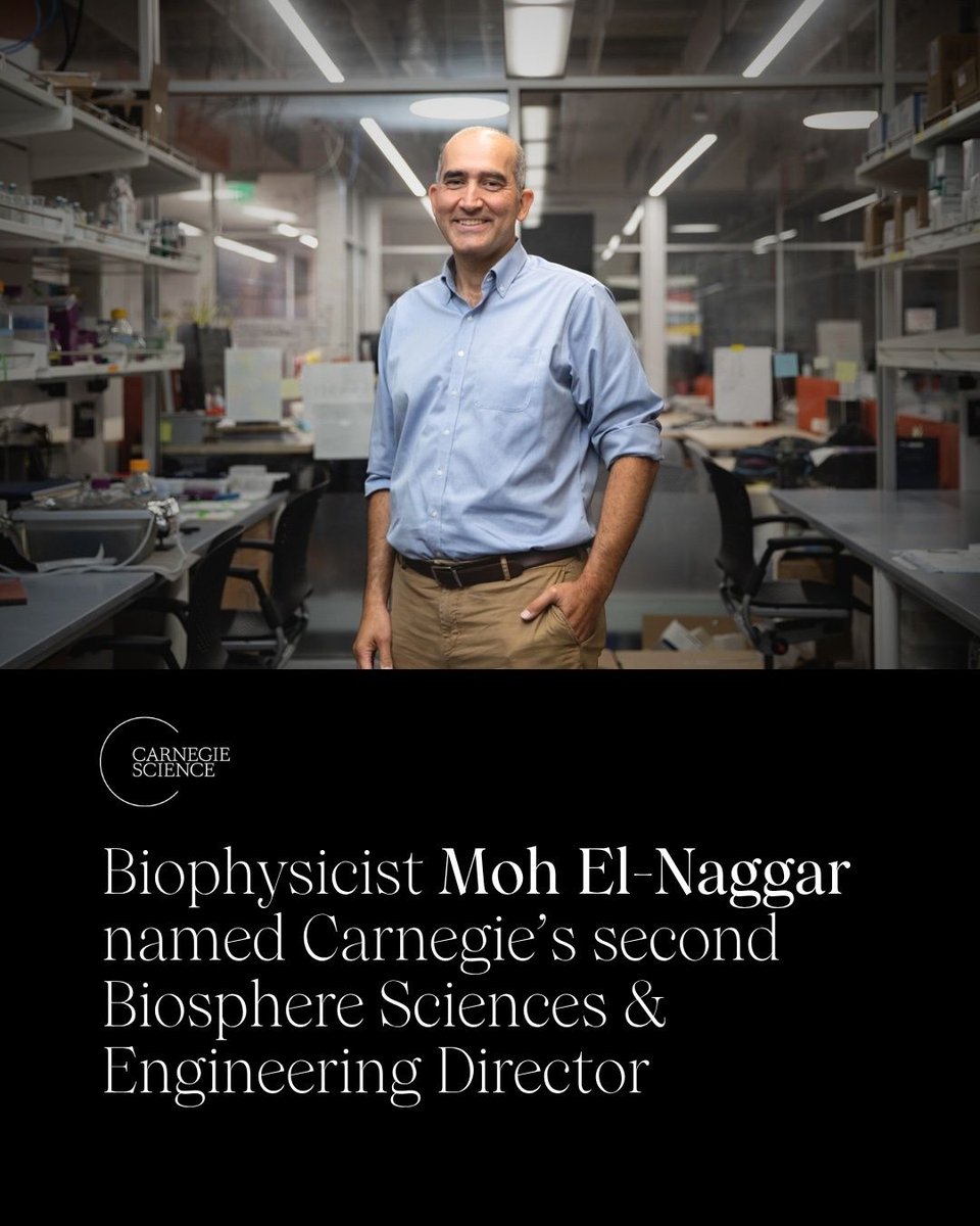 carnegiescience's tweet photo. @Caltech @USCDornsife @jbprime More on El-Naggar's appointment, BSE's move to Pasadena, and the Carnegie–Caltech alliance: https://t.co/uxEMyyGG0h https://t.co/YG146mq6FX
