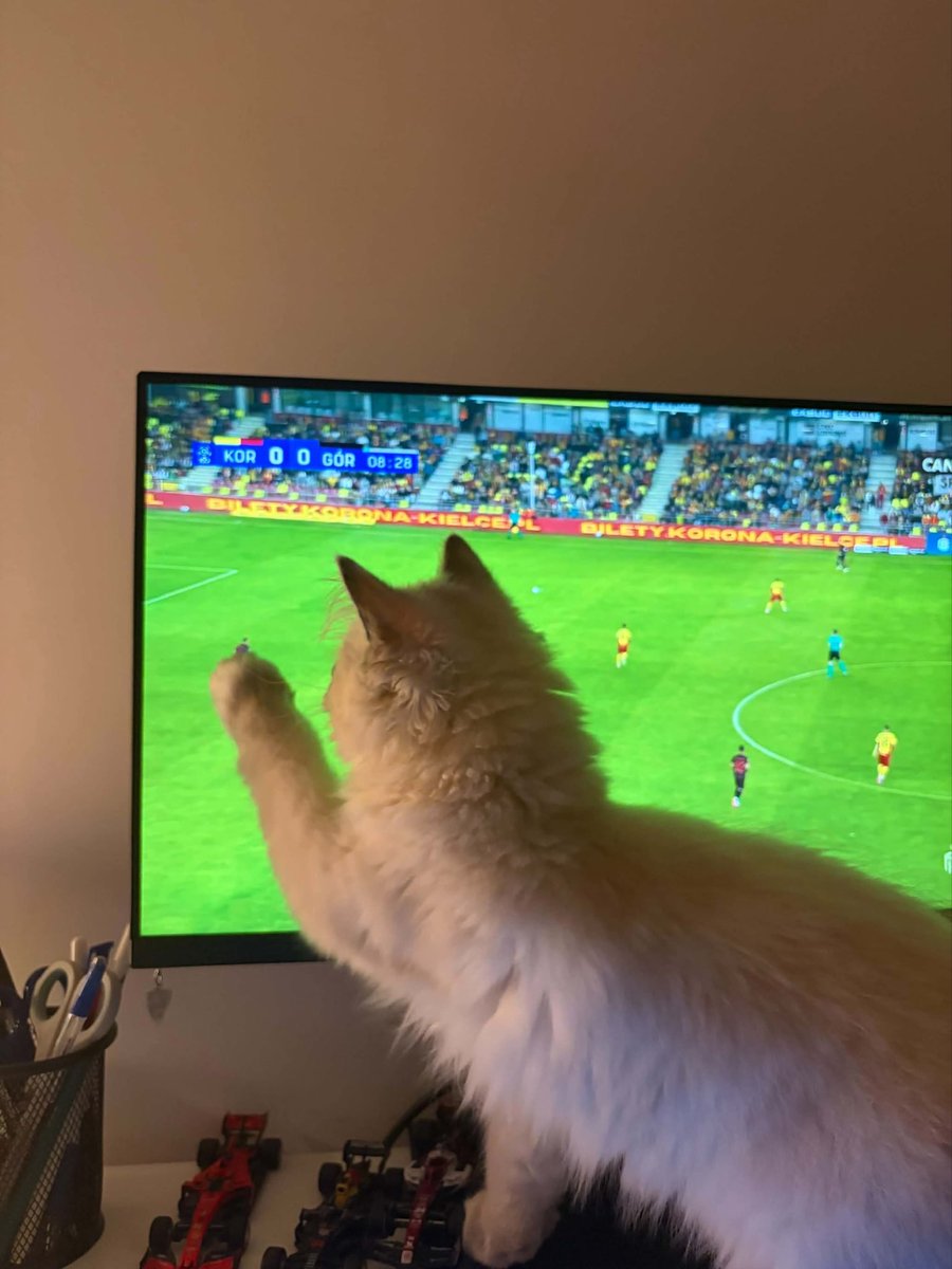 OlbinhoOlbinski's tweet photo. @GornikZabrzeSSA pokazuje najlepszego obrońcę świata https://t.co/ZHaWYin6eR