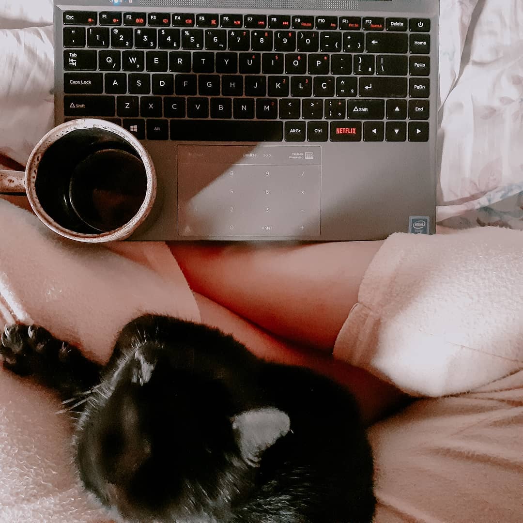 GuiGrego23's tweet photo. Era pra ser um post fofinho, mas virou despedida. Meu gato foi morto cruelmente e deixado onde eu encontraria. Se virem maus-tratos a animais, denunciem. Sinto muito, T’Challa. Não consegui te proteger desse mundo cruel. https://t.co/2LMaJvSVNz
