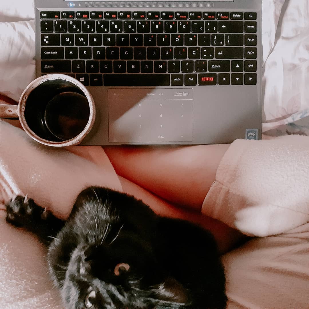 GuiGrego23's tweet photo. Era pra ser um post fofinho, mas virou despedida. Meu gato foi morto cruelmente e deixado onde eu encontraria. Se virem maus-tratos a animais, denunciem. Sinto muito, T’Challa. Não consegui te proteger desse mundo cruel. https://t.co/2LMaJvSVNz