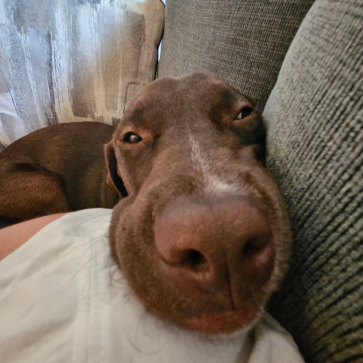 gaby_vsj's tweet photo. After a short break, I’m back—and I’ve got a new friend. https://t.co/b3SNsPbBog
