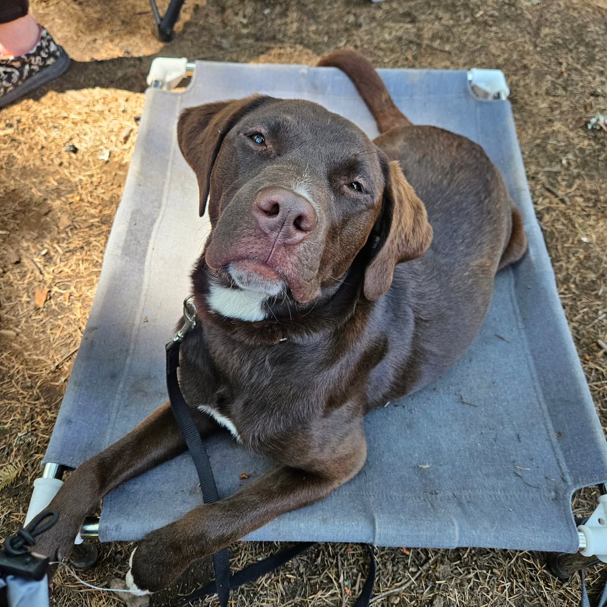 gaby_vsj's tweet photo. After a short break, I’m back—and I’ve got a new friend. https://t.co/b3SNsPbBog