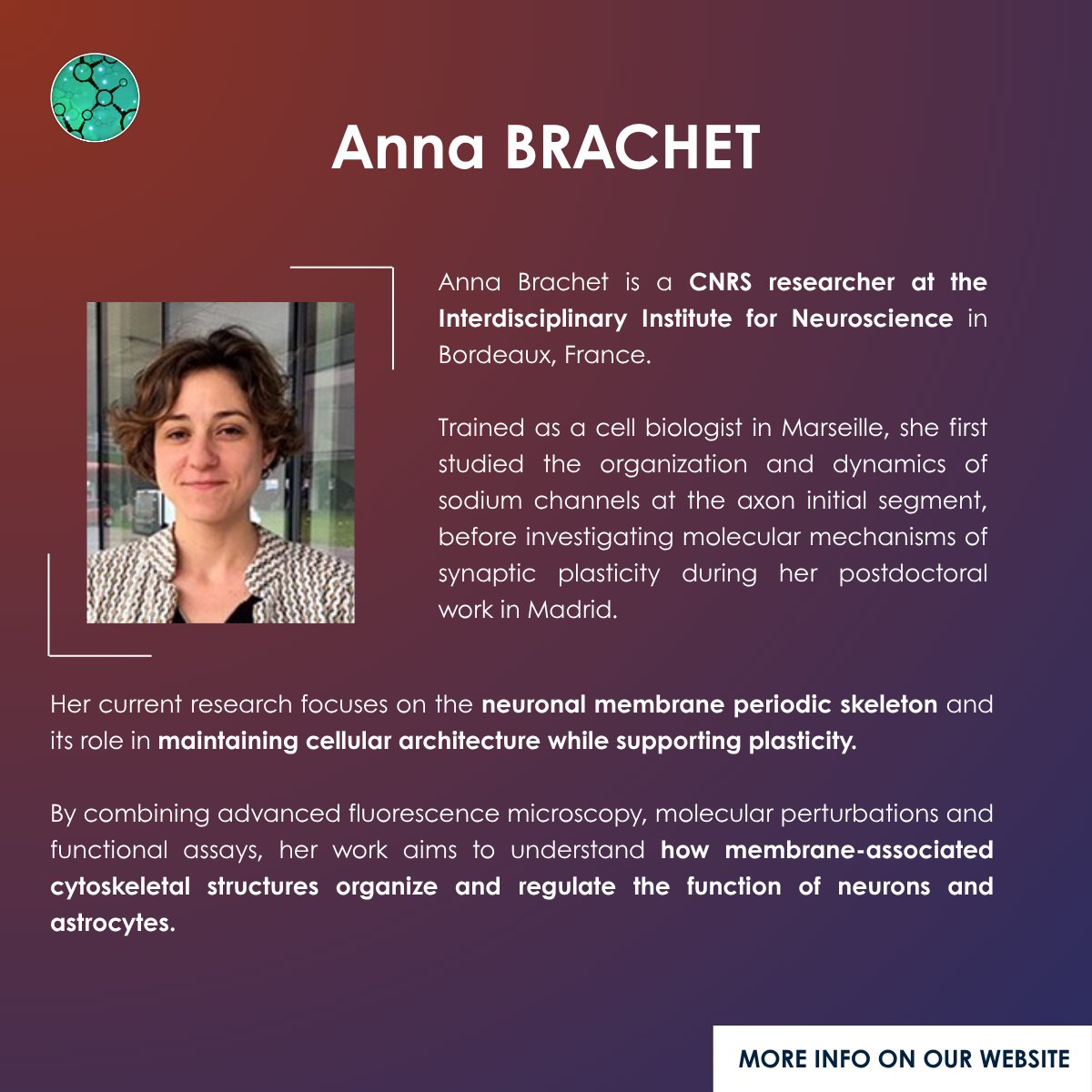 Fr_BioImaging's tweet photo. SFBS 2026: new speakers announced👀

Discover the latest names joining our congress on super-resolution microscopy for life sciences

Registration is still open!

📅 Oct 19-21, 2026
📍 Bordeaux

More info👉https://t.co/Ve0a9hRq3D https://t.co/obSUlpHPwO