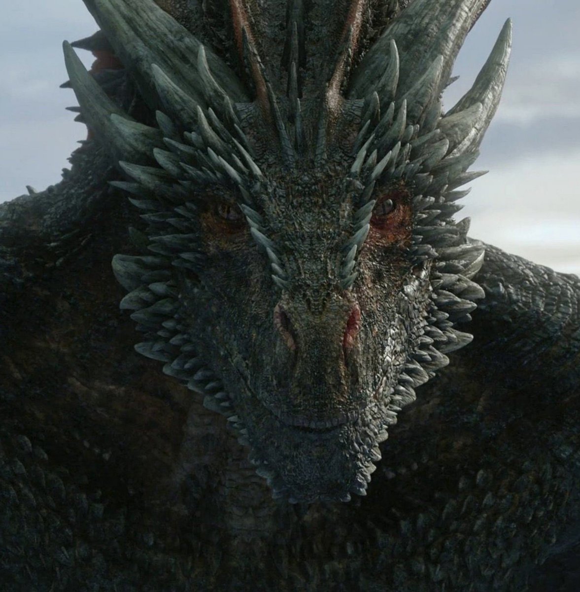 Targ_Loyalist's tweet photo. Drogon and Syrax patiently waiting for Dany and Rhaenyra to finish their little #Emmys outing. https://t.co/suqJIjHwqx