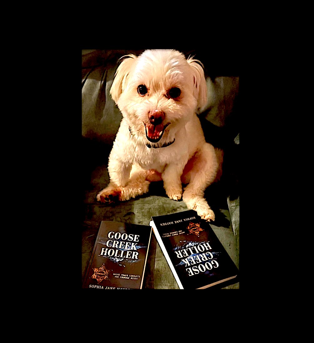 JaneHayde44792's tweet photo. I'm so excited for my bestie in PA who just made it official by adopting little Bodhi. This little guy made the long rescue trip from Kuwait to Baltimore and already has a good appreciation for Appalachian fiction. #Bodhi #dogs #recuedogs #bookcover #goosecreekholler #novel https://t.co/A5mBqju7mJ