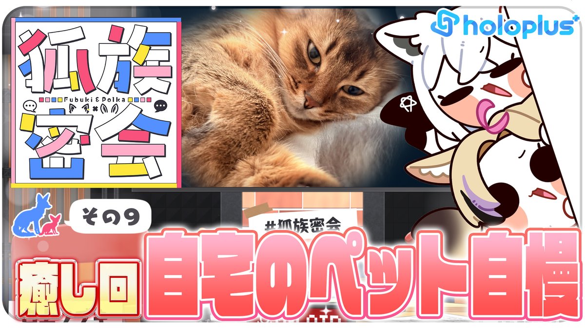 hololive_OCG's tweet photo. 🎊お知らせ📢

#狐族密会 🦊 にて #ホロカ の最新情報をお届けいただきました🌽🎪

《商品情報》
9/19(土)発売『ボリュームヴォルテックス』の振り返りや、12/18(金)発売『グローリー・エコー』の新規イラスト〈#アキ・ローゼンタール🍎〉と〈#獅白ぼたん♌〉をご紹介いただきました✨

🚨配信アーカイブはこちら
https://t.co/OshUKxSieP
🔽公式HP
https://t.co/8haPZsZSQ1

#ホロライブ
