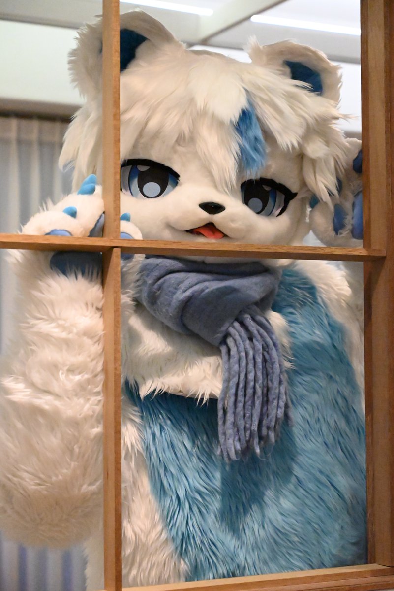 furry_hwoo00 tweet picture
