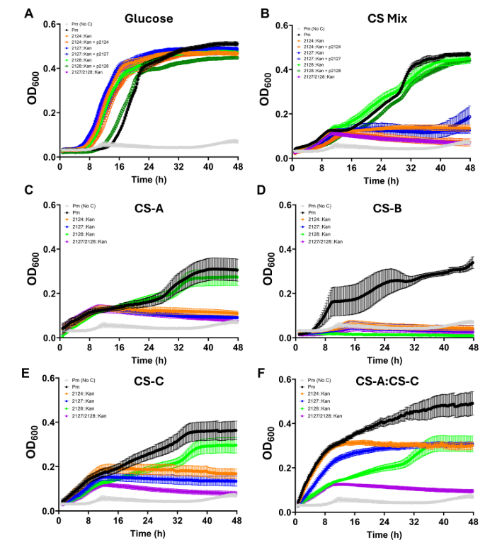 ASMicrobiology's tweet photo. Research in #IAIJournal shows that chondroitin sulfate (CSS) degradation is important for Proteus mirabilis infection in the catheterized bladder environment, suggesting that limiting the process may reduce risk of infection in catheterized patients. https://t.co/WFOiPMW8Ef https://t.co/NDRZP16e56