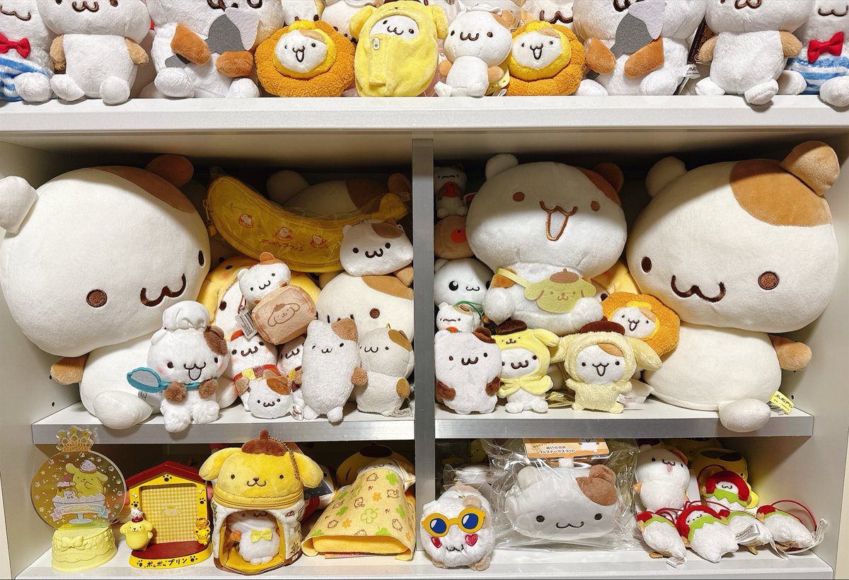 pompuri_muffin's tweet photo. 🎉🎂⋆⸜ ʜᴀᴘᴘʏ ʙɪʀᴛʜᴅᴀʏ ⸝⋆🥂🎁
             マフィンくん❤︎🐹

#ポムポムプリン
#ポムバサダー
#マフィバサダー
#マフィンくん生誕祭2026 https://t.co/kTd8JNc9M9