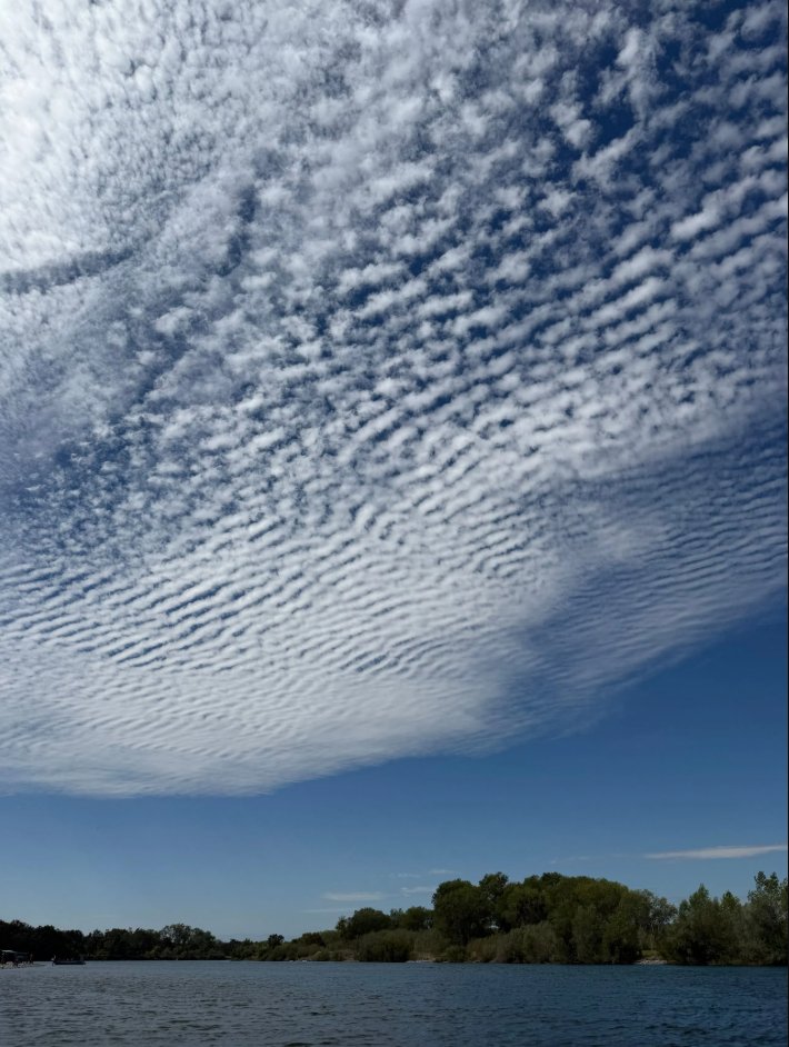 KRCR7's tweet photo. #PhotoOfTheDay: Steven Dickerson shared this great shot of an altocumulus stratiformis deck over the Sacramento River!
Send us your photos using “Chime In” in the KRCR News Channel 7 App, or go to https://t.co/LzmAA5ahaV
#clouds #Cottonwood #chimein #LocalNews #News #krcr https://t.co/L3c8h7mXkl