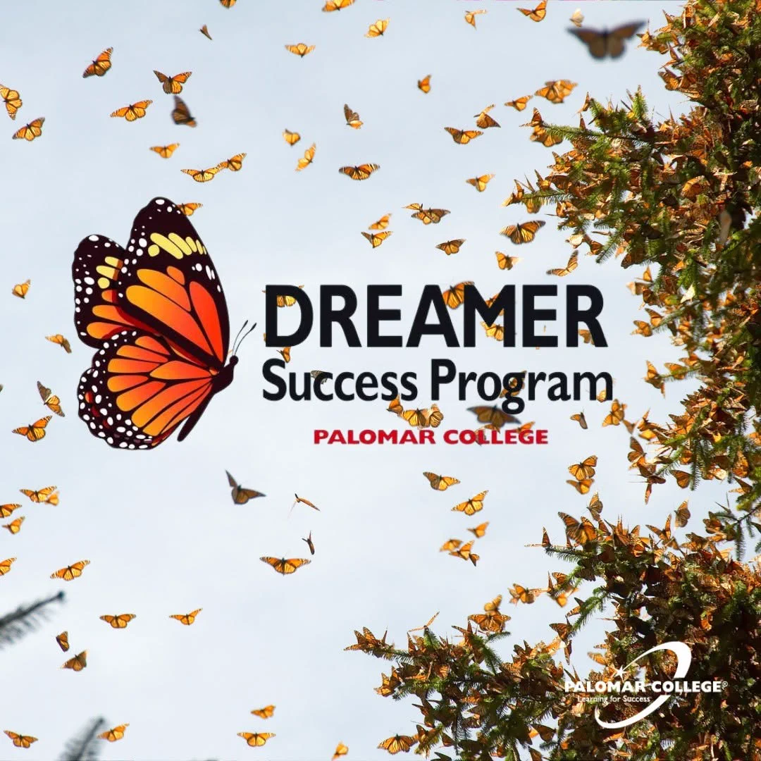 A large monarch butterfly with many smaller butterflies flying around tree branches under a clear sky, promoting the Dreamer Success Program at Palomar College.