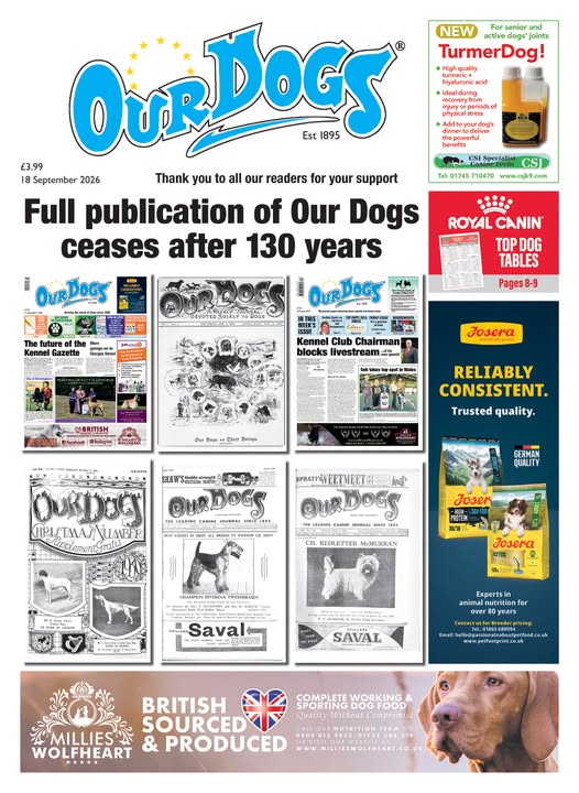 OURDOGSNEWS tweet picture