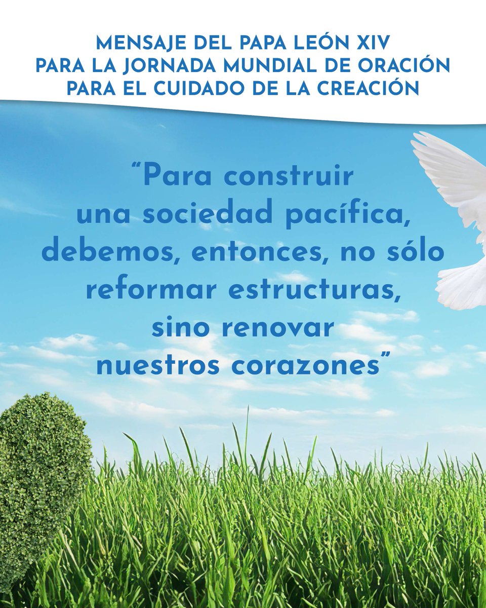 vaticanIHD_ES's tweet photo. ❤ “Los corazones formados por el Evangelio y sostenidos por la gracia de Dios poseen el poder de transformar individuos, renovar comunidades y sanar las heridas de nuestro mundo” 🤝🌍

🌱 Mensaje del Papa León XIV 👇
  https://t.co/fhHobaq0e2 https://t.co/XBaKhq6Pk8