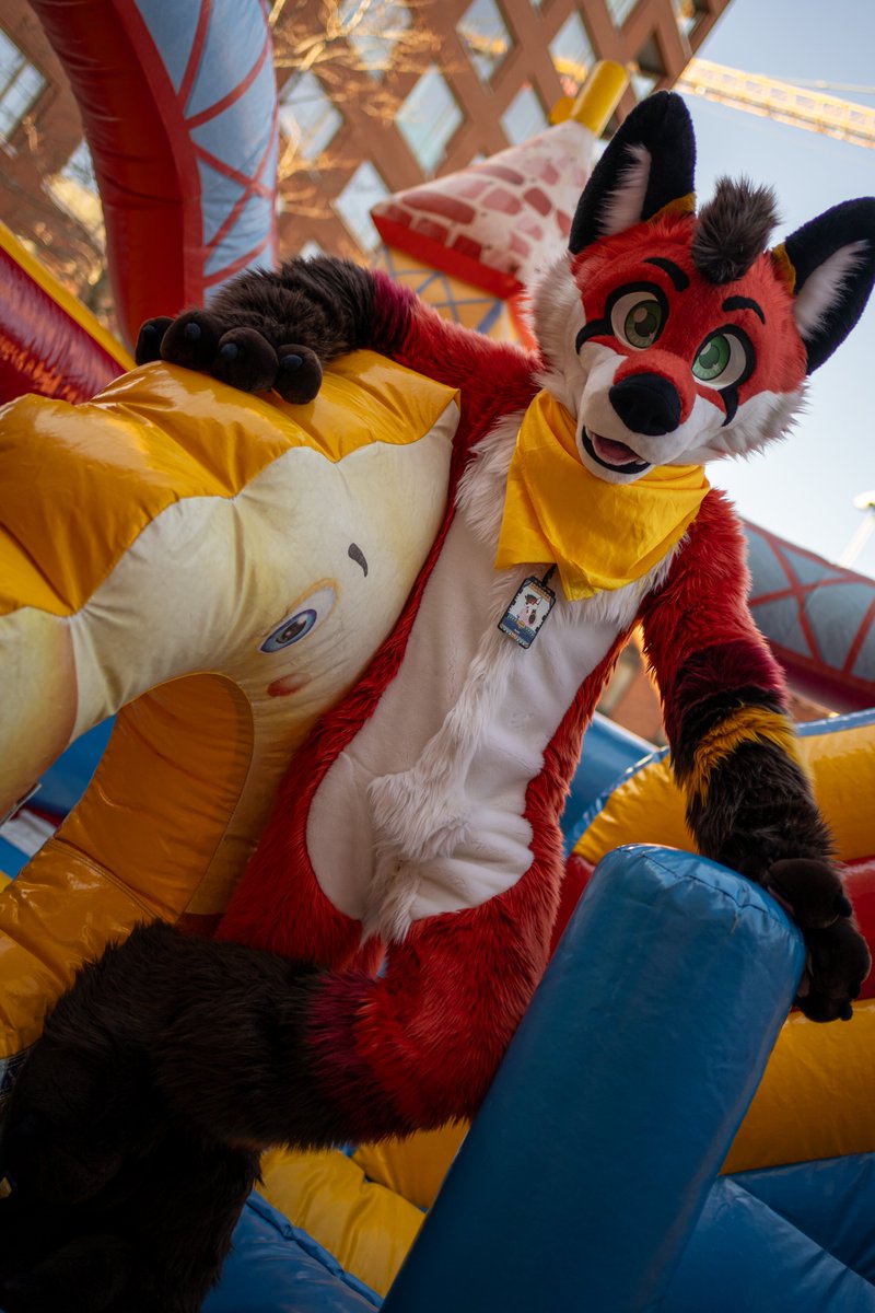Axel_Firepaws's tweet photo. Welcome to the playground 🤠

📷: @Picka_bot https://t.co/pMg0iIbtGa