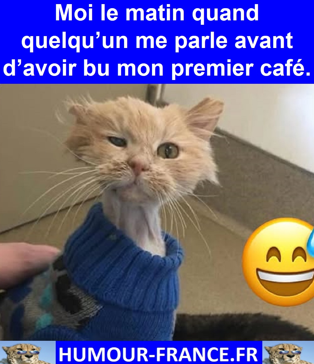 HHumourFrance's tweet photo. Humour-France : https://t.co/hT4KBy5trH
Boutique : https://t.co/PyvZpZsCGZ
T-SHIRT HUMOUR : https://t.co/0sZzm3Poub
#divertissement #jpp #fourire #fou #comique #rires #frenchhumour #souris #mortderire #ptdr #blague #humour #drole #marrant #blagues #mdr #fourires https://t.co/SZU2efA6FN