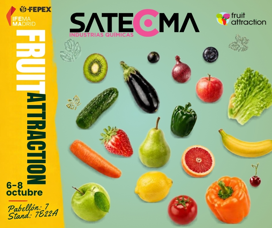 Satecma's tweet photo. 🍅 Del 6 al 8 de octubre estaremos en #FruitAttraction2026 @IFEMA con nuestras novedades para la agricultura sostenible.
📍 Pabellón 7 · Stand 7E22A
🎟️ https://t.co/KoL6Tr5DvY
#Satecma #Agricultura #Agro https://t.co/Wc40lm7E6V