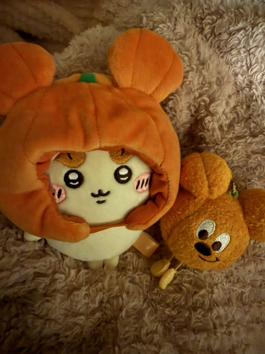 mr__pocha's tweet photo. @maid_meraru1 🎃😸✊‼️ https://t.co/2MuUyV0KOY
