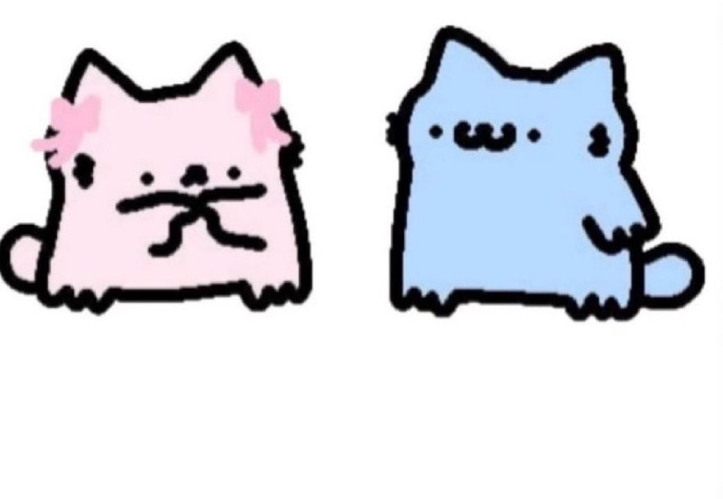 meowssacre's tweet photo. I yap, you listen. 💕 https://t.co/SKeMTaeL5H
