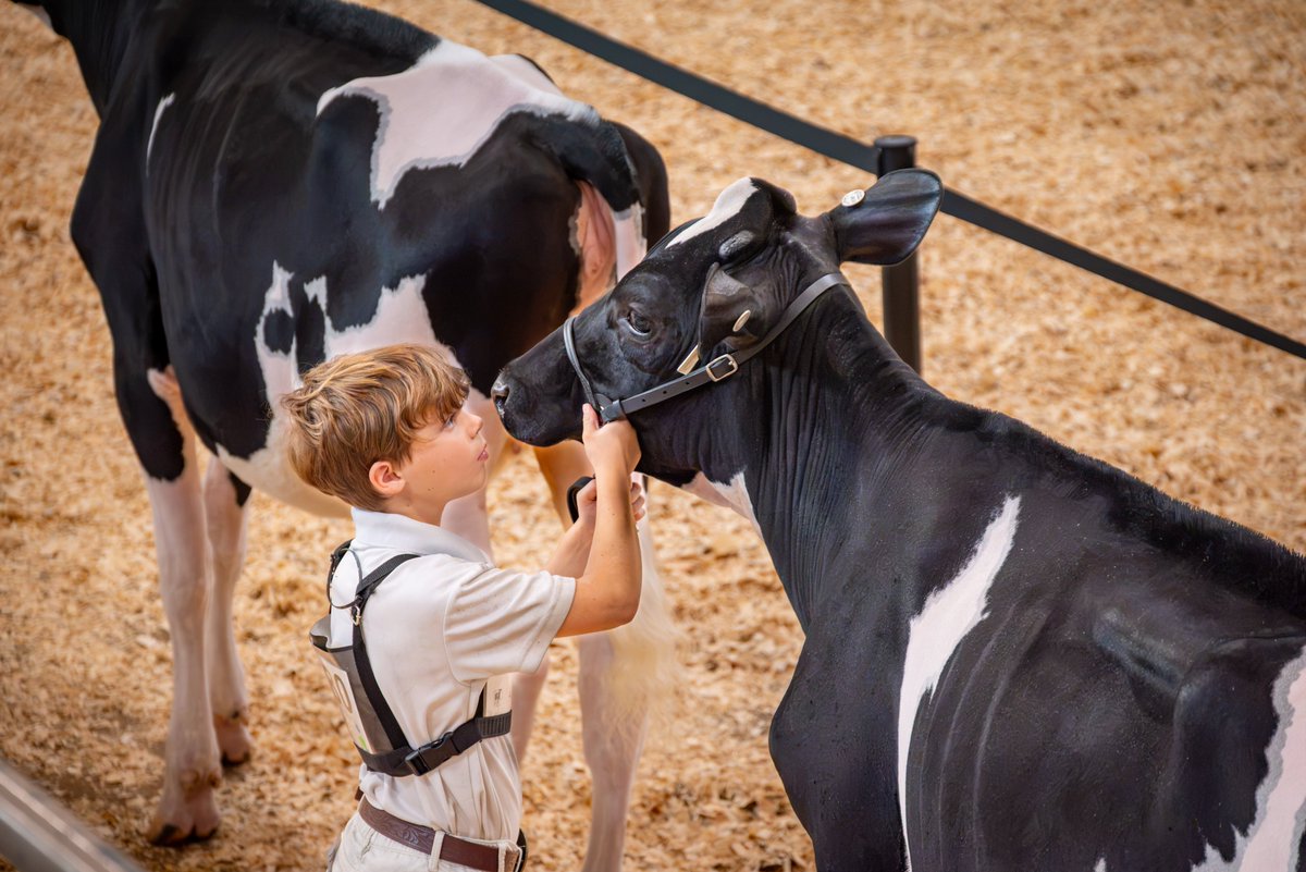 PAAgriculture's tweet photo. You may have heard… Pennsylvania dairy is on the moo-ve. 🐄🥛

From the Chobani announcement to investments in ag innovation, Pennsylvania is leading the way -  strengthening our dairy industry, creating new opportunities and building on generations of agricultural excellence.

And there’s no better place to see that leadership in action than right here at the PA Farm Show Complex, where the best of the best from Pennsylvania and across the country come to compete at the All-American Dairy Show.

These aren’t just the best cattle in the ring. They represent the expertise, hard work and innovation that make Pennsylvania a national leader in dairy.

We’re proud to host a show that brings the very best of the industry together — and even prouder to be a state that continues to lead it forward.

Pennsylvania dairy is on the moo-ve. And we’re not slowing down. 🐄🏆