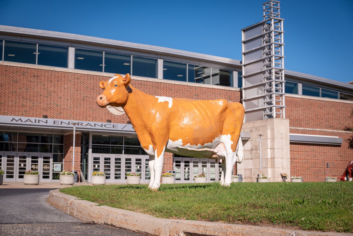PAAgriculture's tweet photo. You may have heard… Pennsylvania dairy is on the moo-ve. 🐄🥛

From the Chobani announcement to investments in ag innovation, Pennsylvania is leading the way -  strengthening our dairy industry, creating new opportunities and building on generations of agricultural excellence.

And there’s no better place to see that leadership in action than right here at the PA Farm Show Complex, where the best of the best from Pennsylvania and across the country come to compete at the All-American Dairy Show.

These aren’t just the best cattle in the ring. They represent the expertise, hard work and innovation that make Pennsylvania a national leader in dairy.

We’re proud to host a show that brings the very best of the industry together — and even prouder to be a state that continues to lead it forward.

Pennsylvania dairy is on the moo-ve. And we’re not slowing down. 🐄🏆