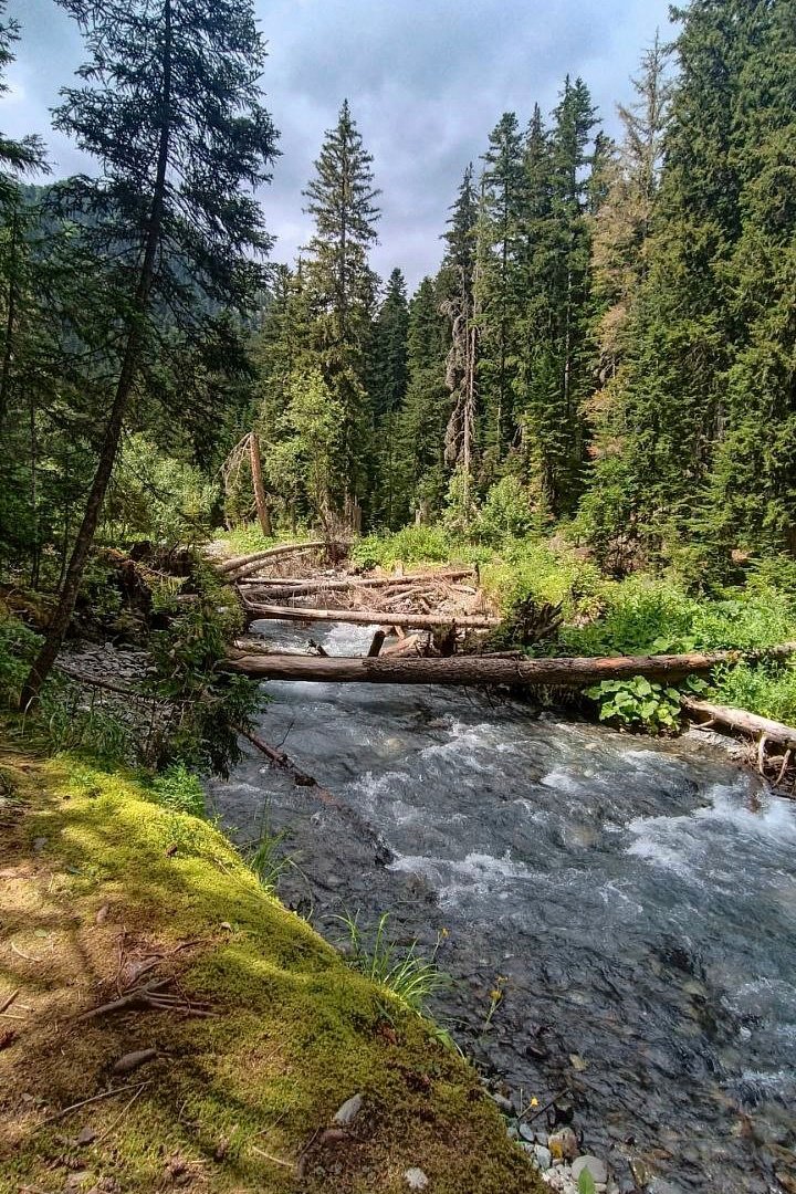 light_in_flight's tweet photo. A Tributary of the Malaya Laba
Route 8 “Through Aishkha Pass to the Black Sea”
Caucasus Nature Reserve, Russia
July 22, 2024
#LightInWater #WildernessCulture #NaturePhotography https://t.co/NtQRgIIuaP