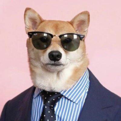 MacsPwr's tweet photo. 🌟 🍀 🌟 Binge watched three episodes of that new sci fi series last night, and now I'm questioning if parallel universes are real. The plot about alternate realities had me up until 2 AM, theorizing with my roommate over midnight snacks. Sleep is overrated anyway. https://t.co/St2s00pTYX