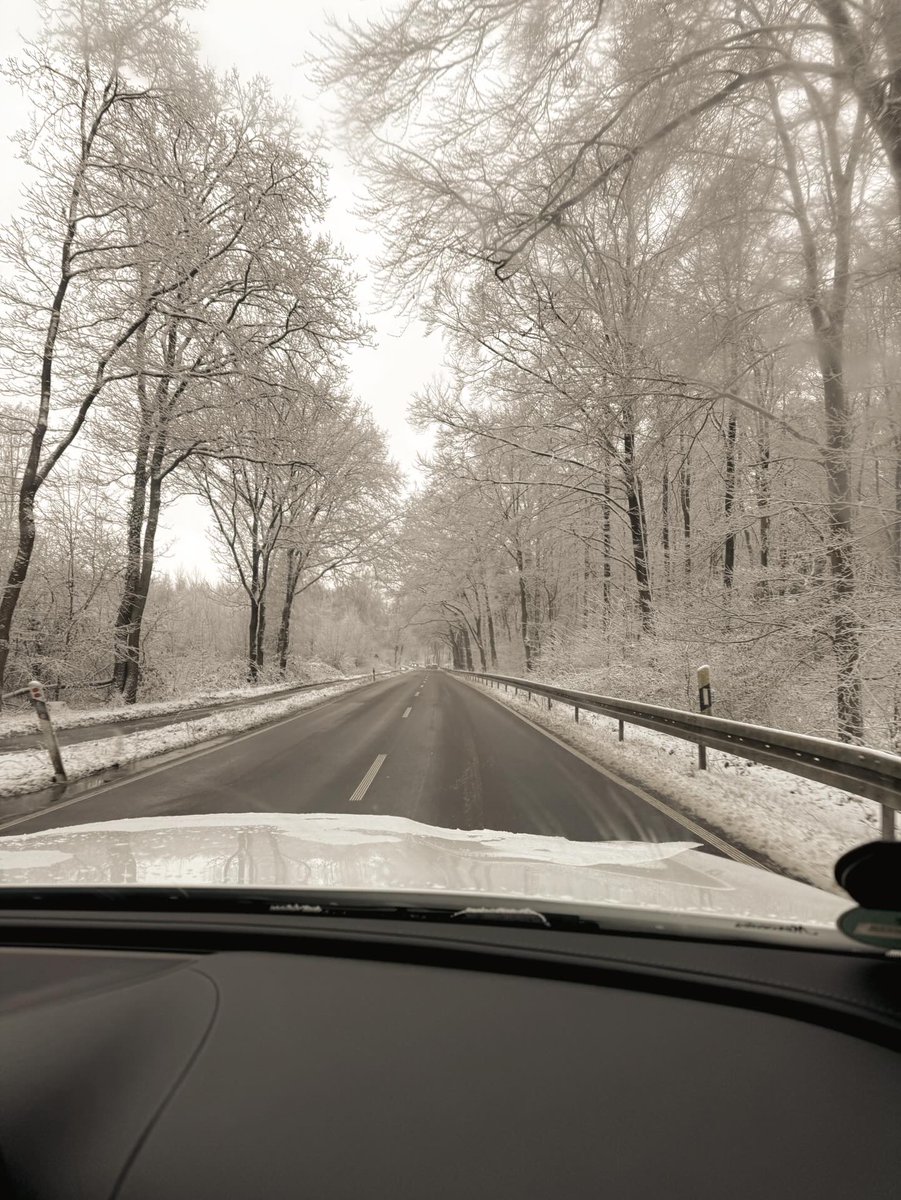 yanetsalcedo's tweet photo. Coffee weather, quiet roads, and soft winter days. https://t.co/IVdOj7ehAV