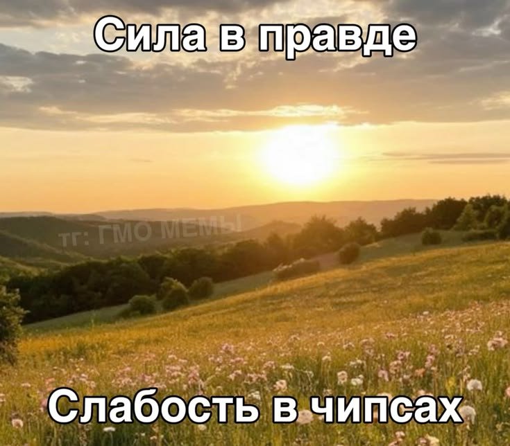 vatananarrr's tweet photo. на таком сегодня https://t.co/5A16BrjN3Q