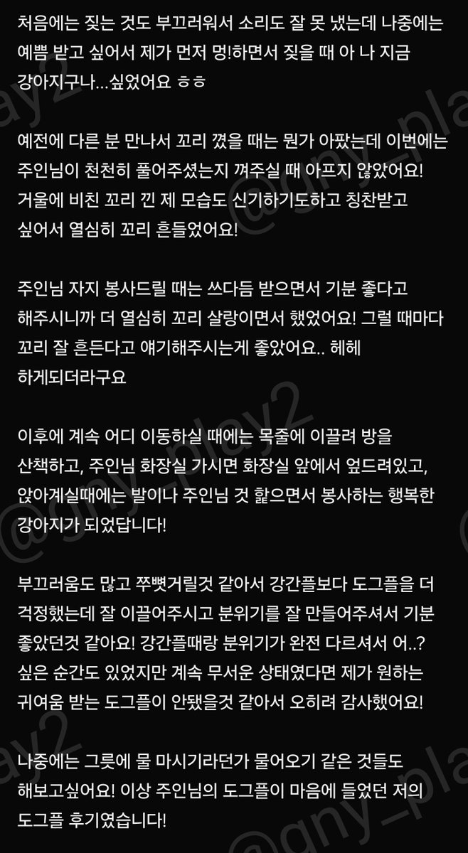 gny_play2's tweet photo. ★오프후기!
바로 전 후기글 써주신 분이 
도그플 후기도 적어주셔서!

강간플 이후라 조금 무서워하셨지만
자세교육하면서 꼬리도 껴보고
엄청 쓰다듬고 귀여워해주면서
차근차근 발정난 강아지로 만들었네요

나중에는 예쁨 받으��고 혼자 꼬리도 흔들고 
멍하고 짖는 강아지가 되었답니다
#섹트 https://t.co/93piICaB8N
