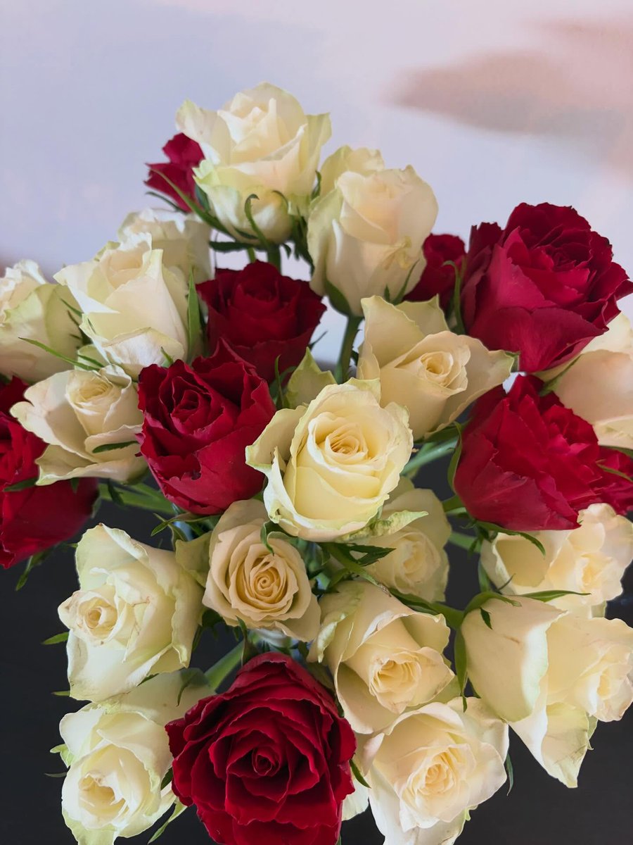 2528Cariel's tweet photo. Valentine’s Day is a reminder to celebrate love in all its forms. https://t.co/3NvvZMqieW