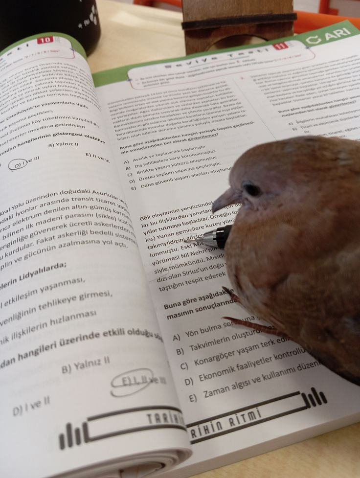 photon010's tweet photo. he's trying his best. https://t.co/bm4YKO6aVt