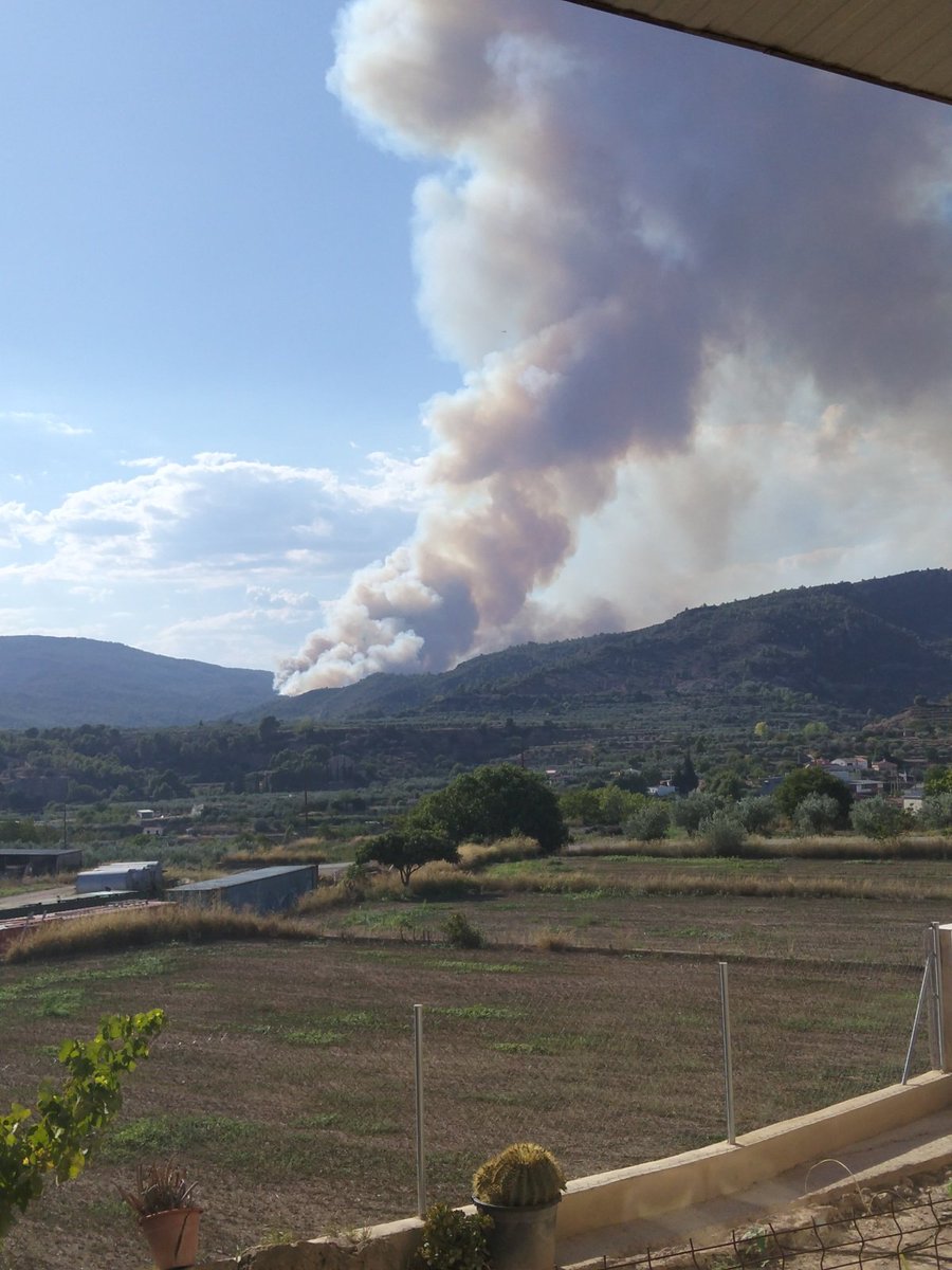 Salva_chelva's tweet photo. @GVA112 @GVAbforestals @BombersValencia @guardiacivil https://t.co/X15W9uOc8u
