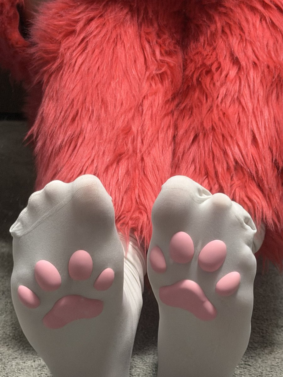 BugggyBee's tweet photo. Yall like paws? :3 #furry #furryfandom #fursuiter #mursuiter #yiff #furrycommunity https://t.co/HRsQzu8xmY