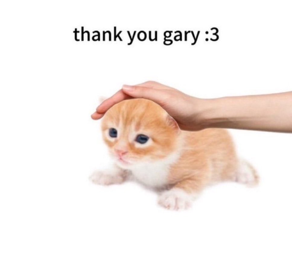 WiggleTheNiggle's tweet photo. @thankyougary__ https://t.co/zRQRu89vHl