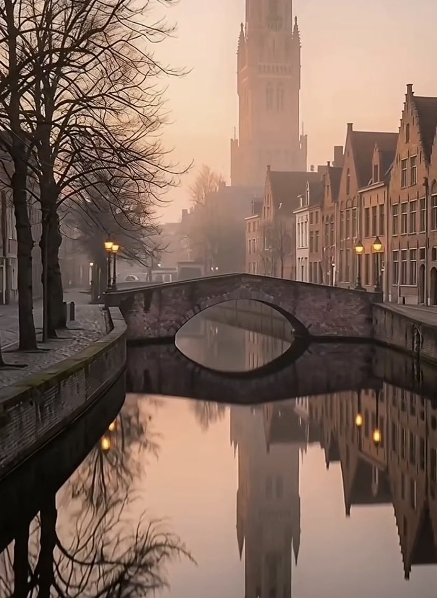 Westvlaamse2's tweet photo. #Bruges is a #storybook escape you've always dreamed of, hidden for centuries in #Belgium after the #MiddleAges. Swans glistening over canals. Old stone buildings and stone bridges that do not reveal their secrets. The water in the #canals sparkling out of the mist. #loveforever https://t.co/xEqcCtrSEh