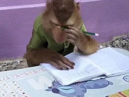 maroversharing's tweet photo. Yo leyendo el apunte para ver si mágicamente se explica solo https://t.co/uecvVhVPnu