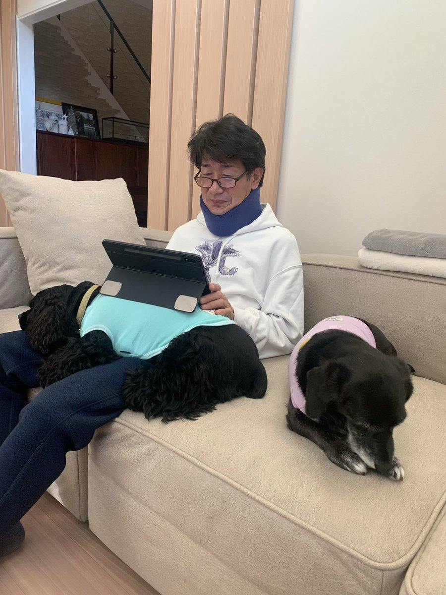 rikki082718's tweet photo. 現役生活、本当にお疲れ様でした。

どんな思いで、42年間続けてきた大好きな騎手という道を、自ら終える決断をしたのか。
今の自分には、まだ全部を理解することはできません。

馬が大好きで、
「俺には騎手しかない」
そう言い続けて、42年間ずっと頑張ってきた姿を、息子として一番近くで見られたことを、本当に幸せに思います。

たくさんのお客さんの前で、歓声を浴びながら馬に乗る姿。
きっと多くの人が知っているのは、そんな輝かしい姿だと思います。

でも、僕が一番覚えているのは、そういう姿だけじゃありません。

家族の誰よりも早く起きて、
毎朝ストレッチをして、
朝、歯を磨きながらスクワットをして、
毎日欠かさず神棚に手を合わせる姿。

誰にも見られていないところで、何十年も続けてきた小さな積み重ね。

その姿を近くで見てきて、
「偉大なところに行くためには、特別なことをするんじゃなくて、当たり前のことを誰よりも長く続けることなんだ」
ということを教えてもらいました。

息子として、ずっと見てきたからこそ分かります。

馬が好きだから
俺にはこれしかないから

そう言って、何歳になっても馬に乗り続ける姿を、もう見られなくなると思うと、正直、寂しくて仕方ありません。

でも、これは終わりじゃなくて、ひとつの区切りなんだと思います。

これからは今まで我慢してきたことも含めて、たくさん好きなことをして、少しでも長く元気に生きてください。

あなたの息子でいられたことだけは、心から誇りに思います。

好きなことを仕事にすることの大変さ。
夢を追い続けることの苦しさ。
そして、どれだけ苦しくても、自分の信じた道を貫く強さ。

42年間、背中で教えてくれてありがとうございました。

現役生活、本当にお疲れ様でした。

ゆっくり休んでください。

僕の中のヒーローが、ひとつの舞台を降りてしまって、心にはぽっかり穴が開いたような気がします。

でも

全然、悲しくないです。

だって、まだ終わってないから。

これからは僕たち家族と一緒に、まだまだたくさんの景色を見に行きましょう。

42年間、本当にありがとう。
そして、これからも僕のヒーローでいてください。

引退式、楽しみにしています。
最後の晴れ舞台、しっかり目に焼き付けたいと思います。#柴田善臣