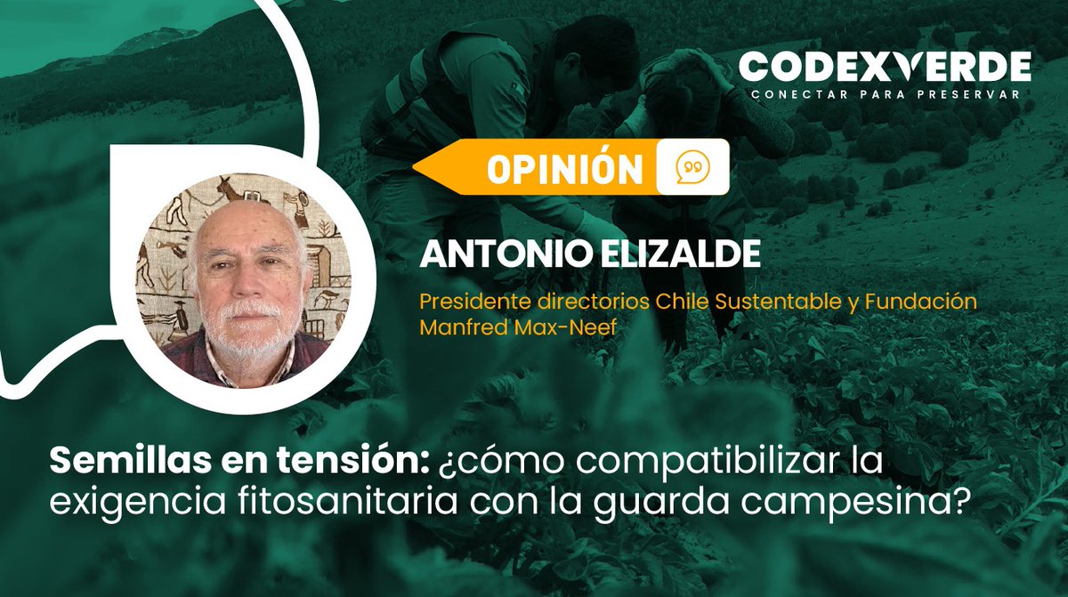CodeXverde's tweet photo. 🗣️"La soberanía alimentaria no se construye con catálogos uniformes. Se cultiva entre el zumbido de los polinizadores y el tránsito de los ciclos que despiertan en cada huerto" https://t.co/XihQaOf01c https://t.co/ycTgXA8maK
