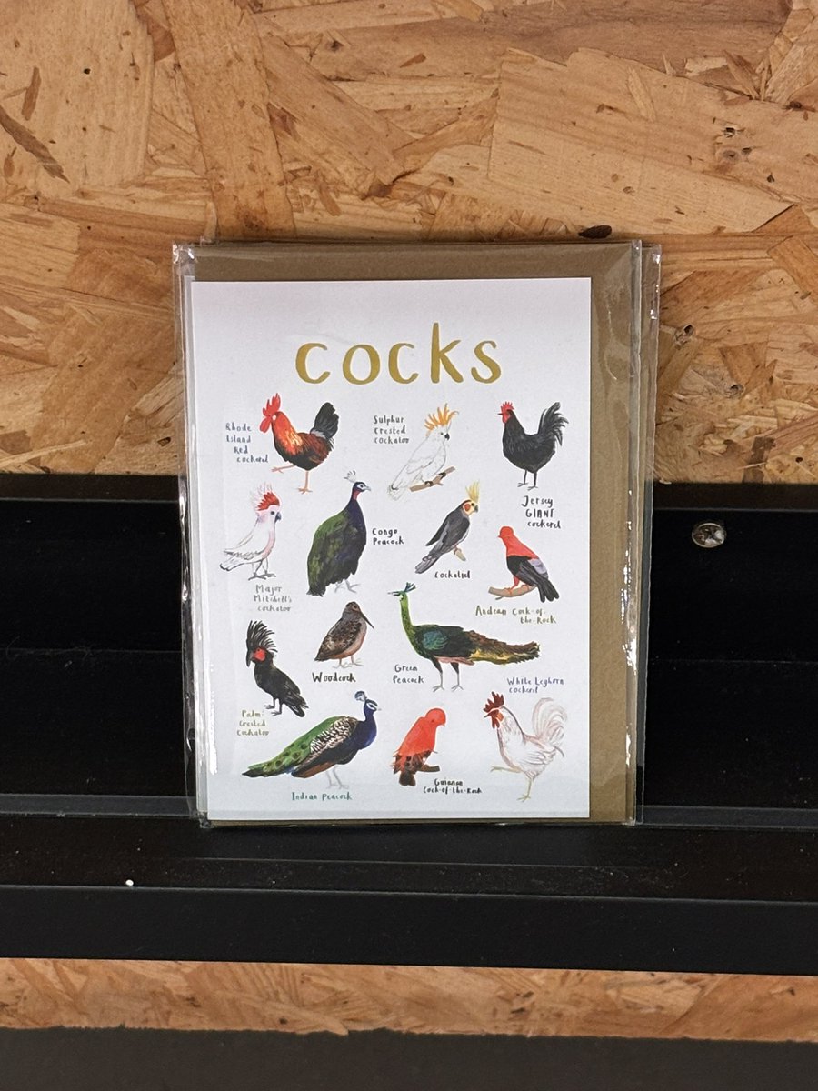 bellerrvk's tweet photo. in the lake district, one of the most beautiful places in the uk, and this is all i’ve taken photos of absolutely no photos of the view whatsoever just used condoms outside boots and cursed elvis https://t.co/5j61OcK0qj