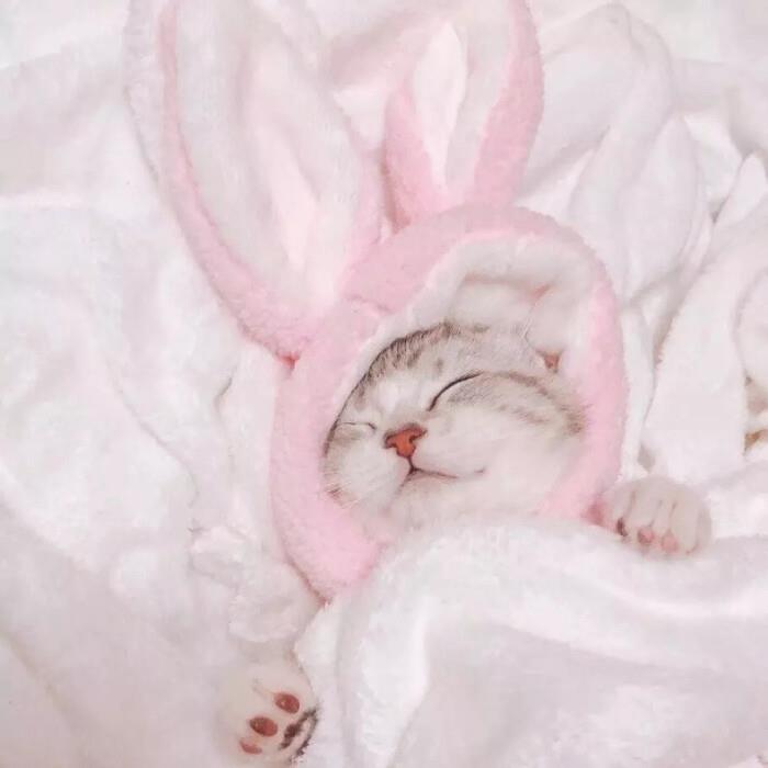 KUcdere's tweet photo. 🌺 💦 🍀 Rain on the window, instant cozy vibes https://t.co/03xyshFLBm