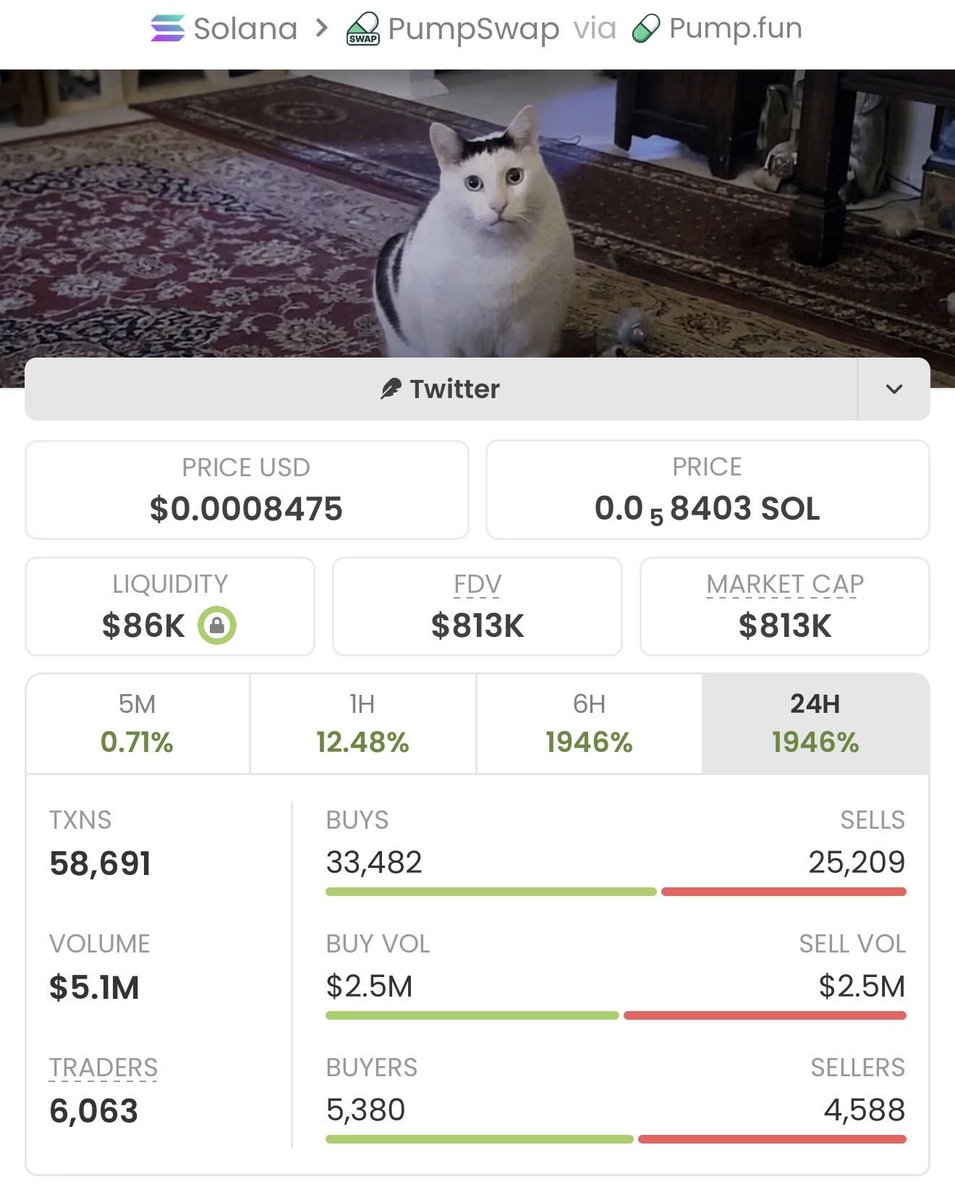 carodriguess_'s tweet photo. $HUHCAT is up 239x 🚀
📈 From $3.4k → $813k MCAP 🔥

Get early entries on trending Solana memecoins before they take off.
I share high-conviction calls first in my private alpha Telegram.

DM me now to get started.

Ca: A9AHYeqb7nQk7LZUraw7rBCzYRjy2DRvE6NqWfFHKRdH https://t.co/2Af3im4aDX