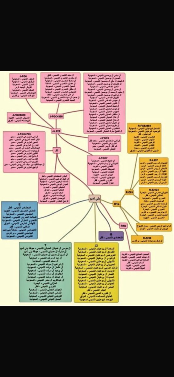 DizIFotfwWvesL6's tweet photo. تحورات قبيله بني تميم على كافه السلالات من مختلف المناطق https://t.co/mEbvs9F0CS