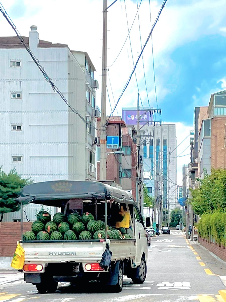 samantacastro14's tweet photo. Begitu musim panas tiba di Korea, semangka ada di mana-mana. Ditumpuk tinggi di supermarket, pasar, hingga toko kecil. Manis, segar, dan dingin, semangka jadi simbol musim panas yang selalu dinanti. Buah apa yang paling identik dengan musim panas https://t.co/YUXPXRCV2I