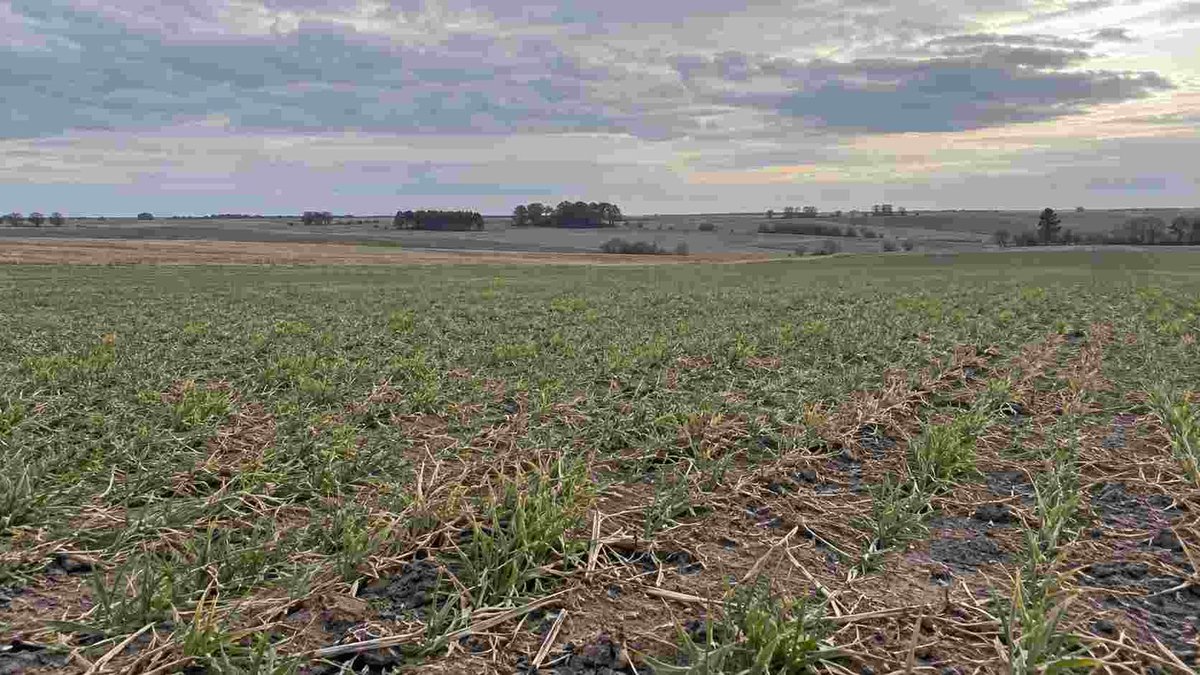RuralNetOficial's tweet photo. #Clima #agricultura #agroclima #aguaenelsuelo #clima Córdoba: agosto tuvo pocas lluvias y deja una señal clave para los cultivos https://t.co/JdD0UI9DPa https://t.co/kSJbw91RkF