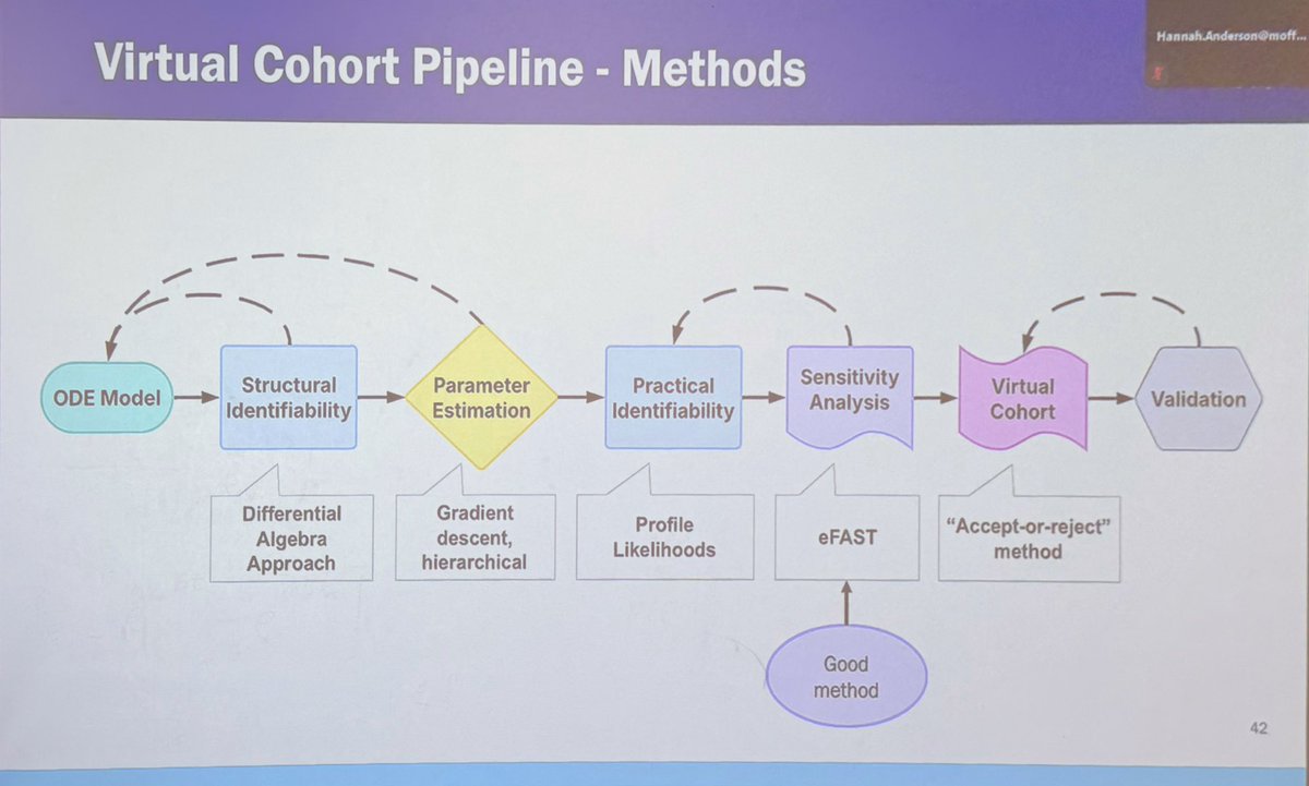 ara_anderson's tweet photo. Today’s @mathonco research in progress is by Hannah Anderson from @RejniakLab presenting, "Robust schedules of adoptive cell therapy in a virtual murine cohort of bladder cancer with experimental validation" @MoffittNews https://t.co/mqi9mD6lCy