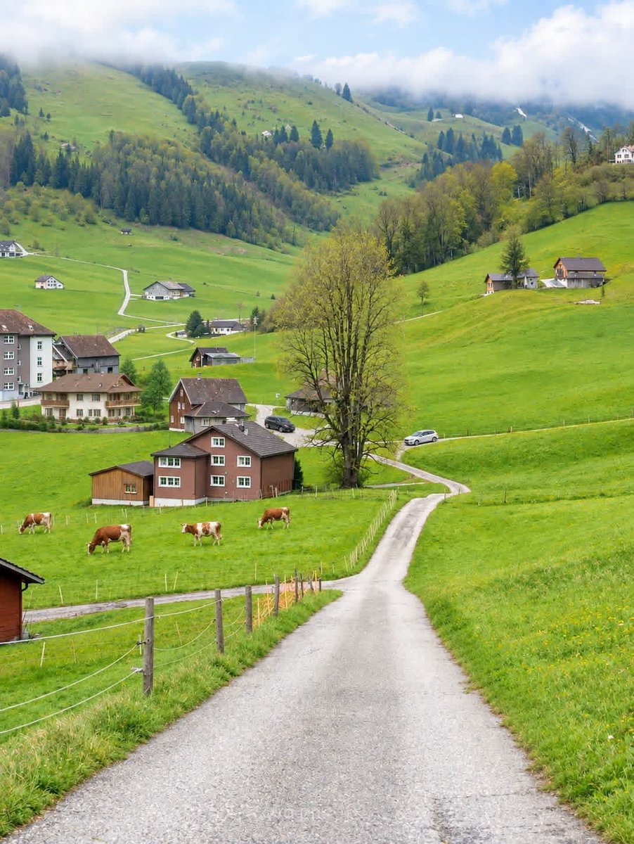naturebeauty760's tweet photo. Switzerland 🇨🇭 https://t.co/VwHKoQEbbg