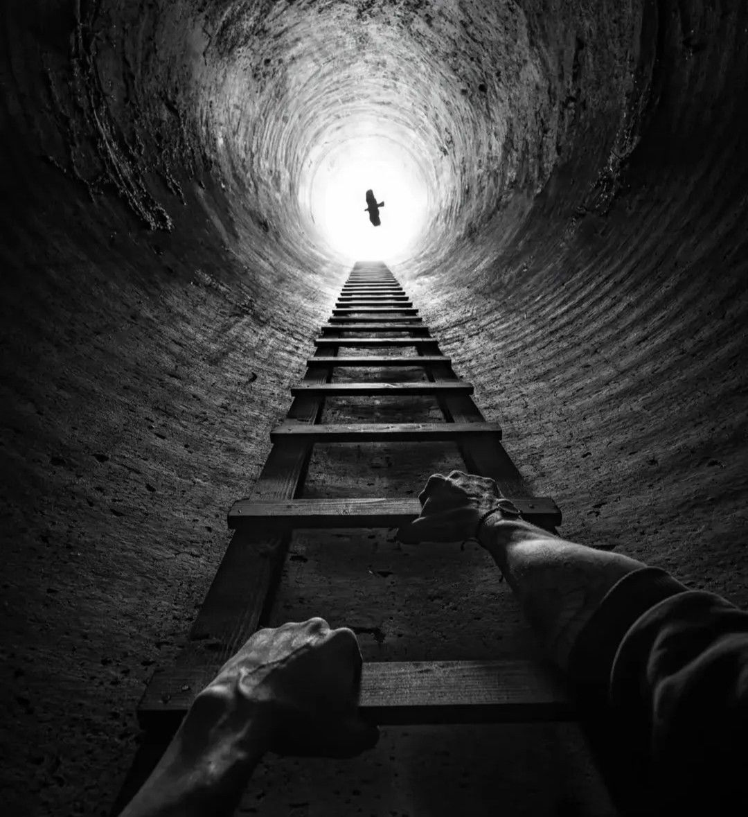 lopezstephen274's tweet photo. درس في الحياة: الزمن، 🐬 يلتهم كل شيء. Margaret Clark https://t.co/3DGuP8B8Hq