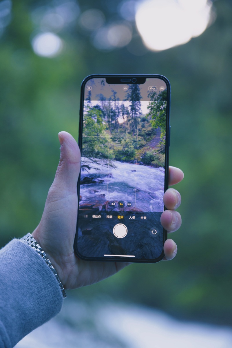 peacz420980's tweet photo. New to photography Start with these 2 tips: 1) Shoot in natural light 2) Frame your subject simply. No fancy gear needed—just your phone works! https://t.co/EI91QpBQwI